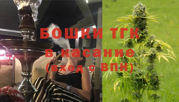 сатива Алексеевка