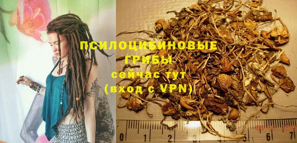 гидра Алексин