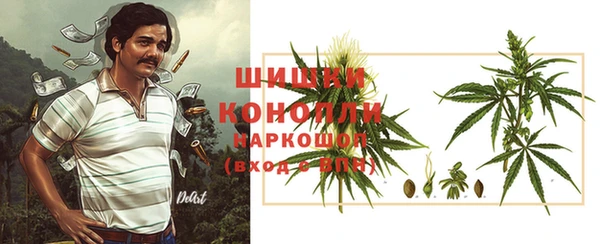 сатива Абдулино